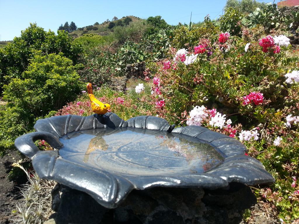 Casa Rural El Valle San Andrés Buitenkant foto